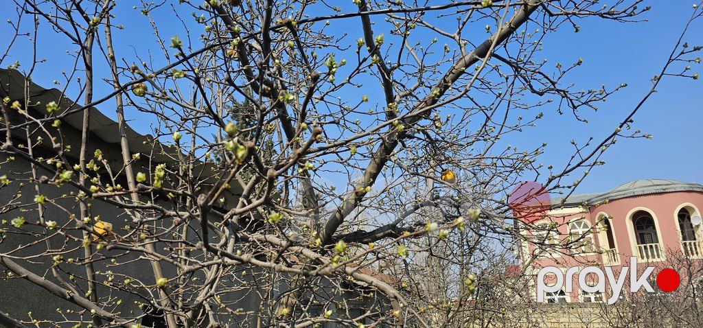 Satılır torpaq 7 sot — Torpaq, Bakı (10)