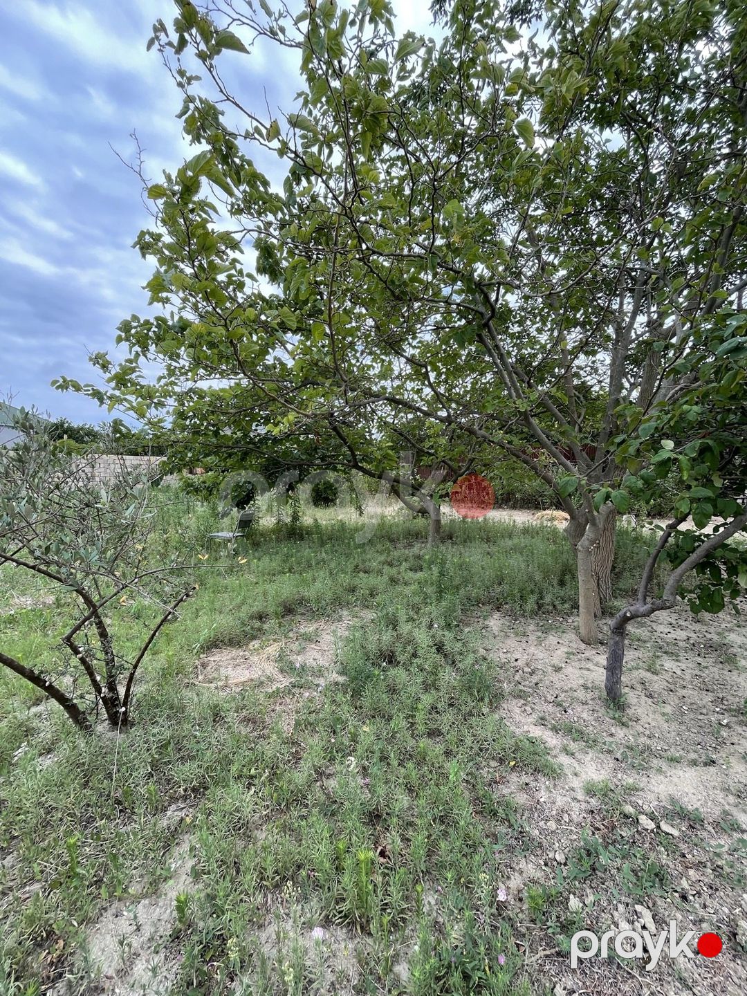 Satılır 5 otaqlı həyət evi/bağ evi 280 m² — Ev, villa, Sumqayıt (5)