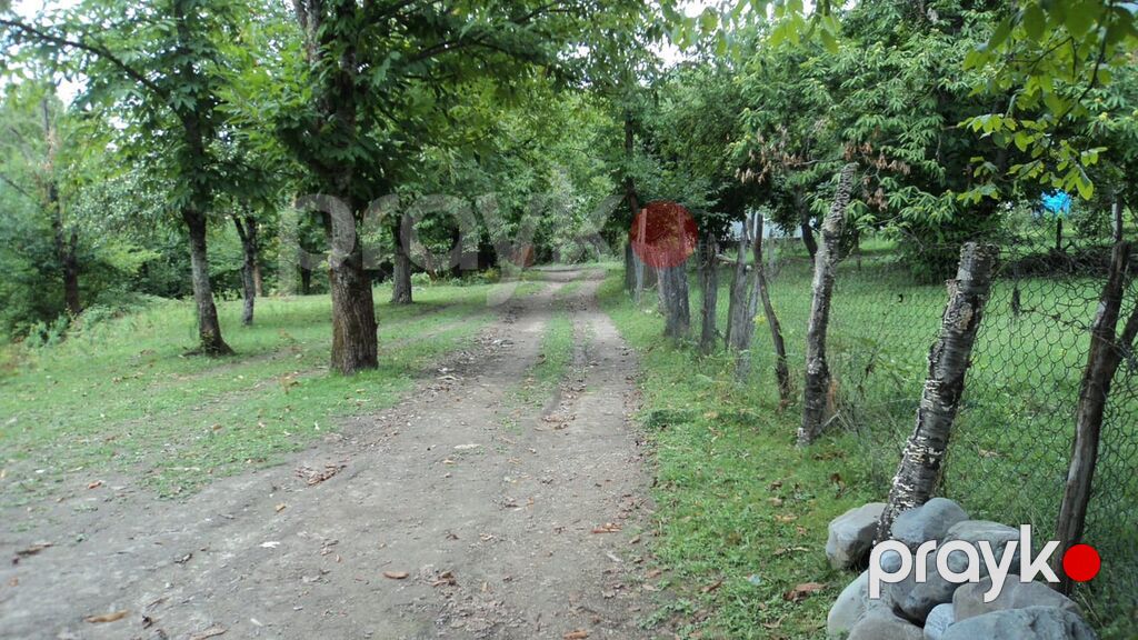 17 sot, Tikinti, Mülkiyyətçi, Kupça (Çıxarış) — Torpaq, Qəbələ (4)