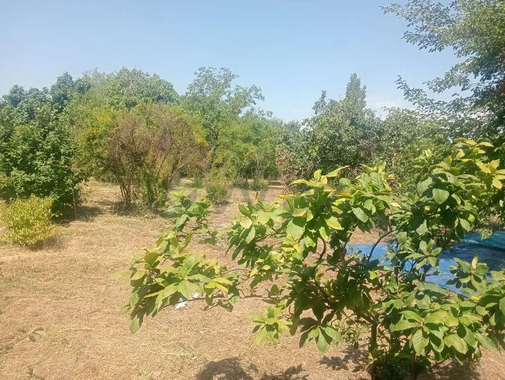10 sot Torpaq Satılır, Bərdə — Bərdə