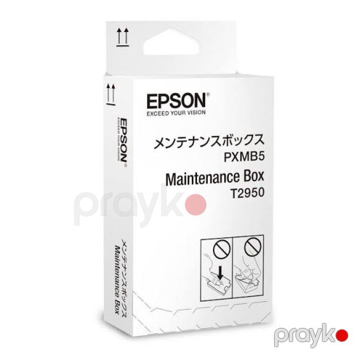 Epson T2950 C13T295000 İşlənmiş Mürəkkəb Qutusu WorkForce WF-100W / WF-110W — Elektronika, Bakı (2)