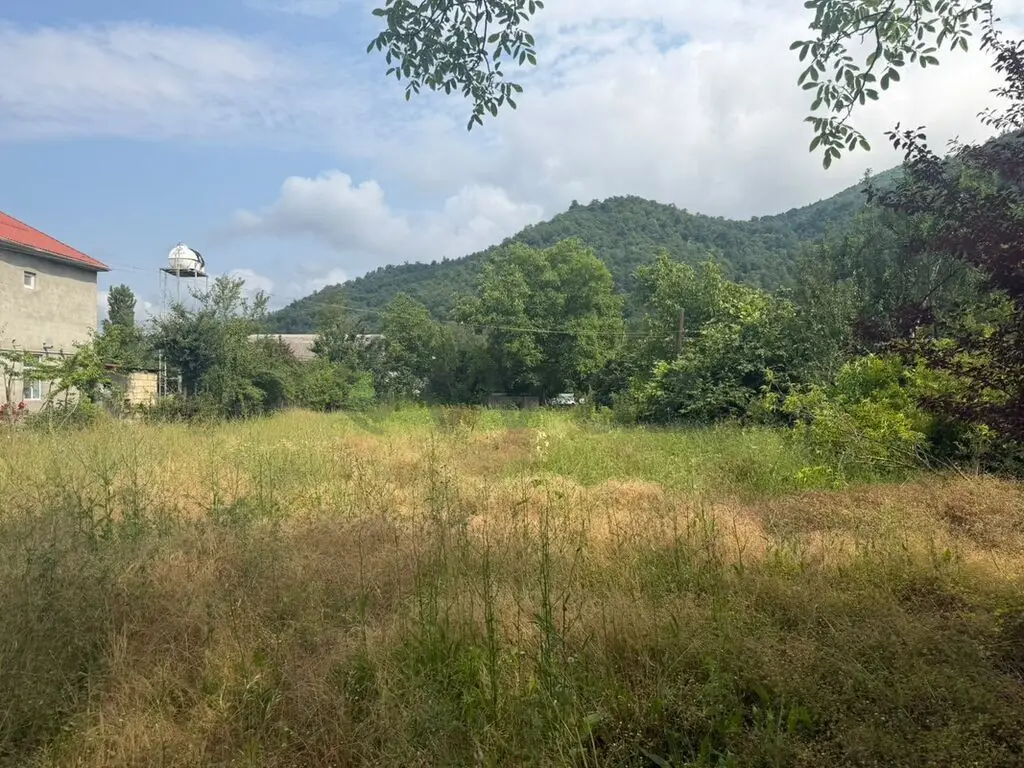 8 sot Torpaq Satılır, Lerik — Lerik