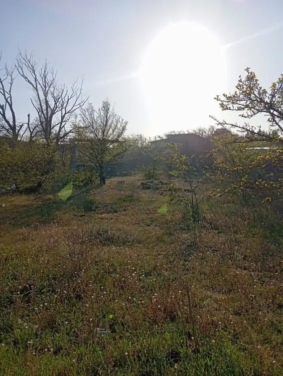30 sot Torpaq Satılır, Nardaran qəs., Sabunçu, Bakı — Torpaq, Bakı (3)