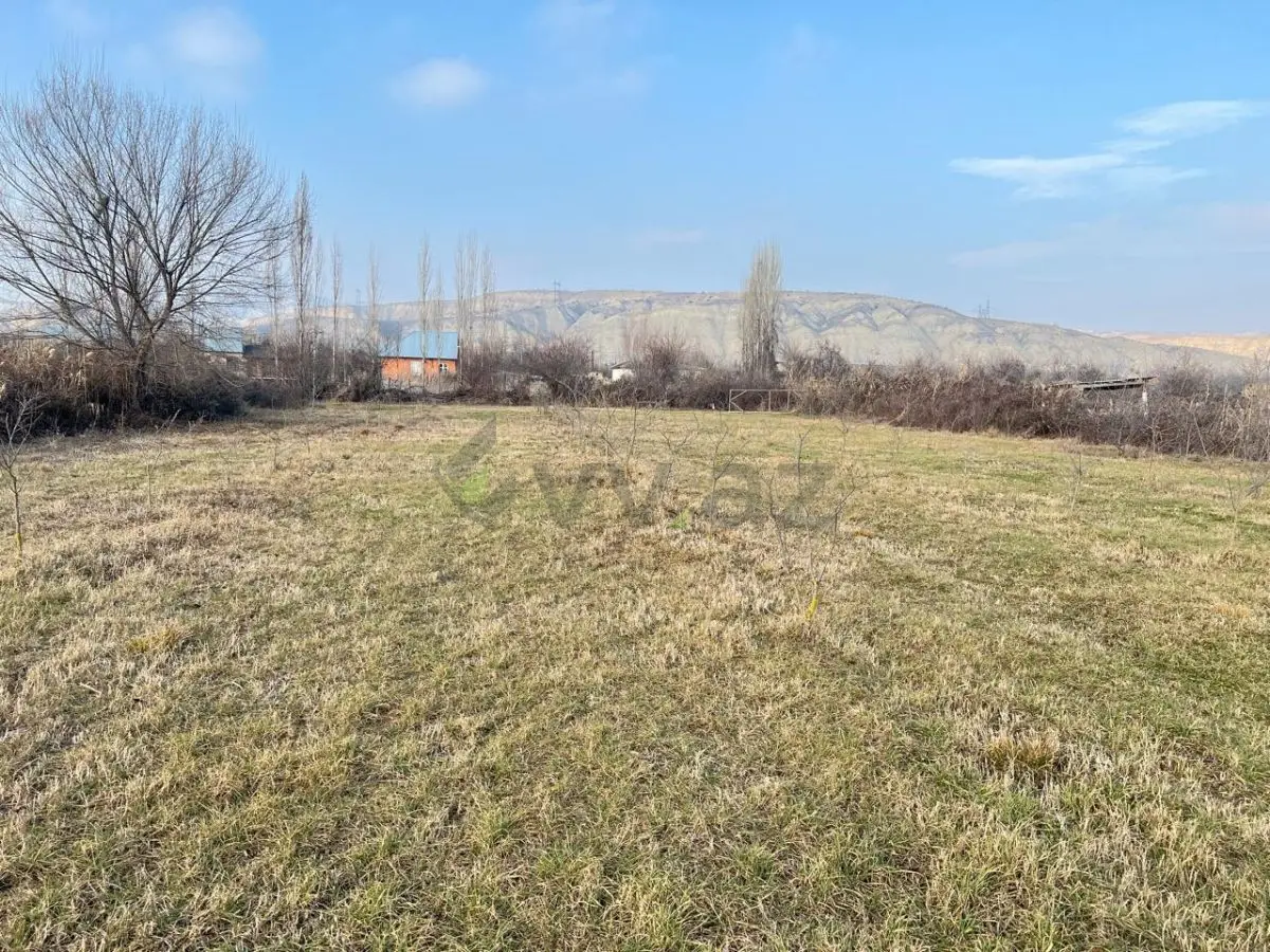 75 sot Torpaq Satılır, Göyçay — Torpaq, Göyçay (3)