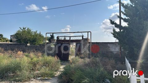Xəzər rayonunda qala qəsəbəsində qala-şüvəlan yolu yaxınlığında 40 — Bakı