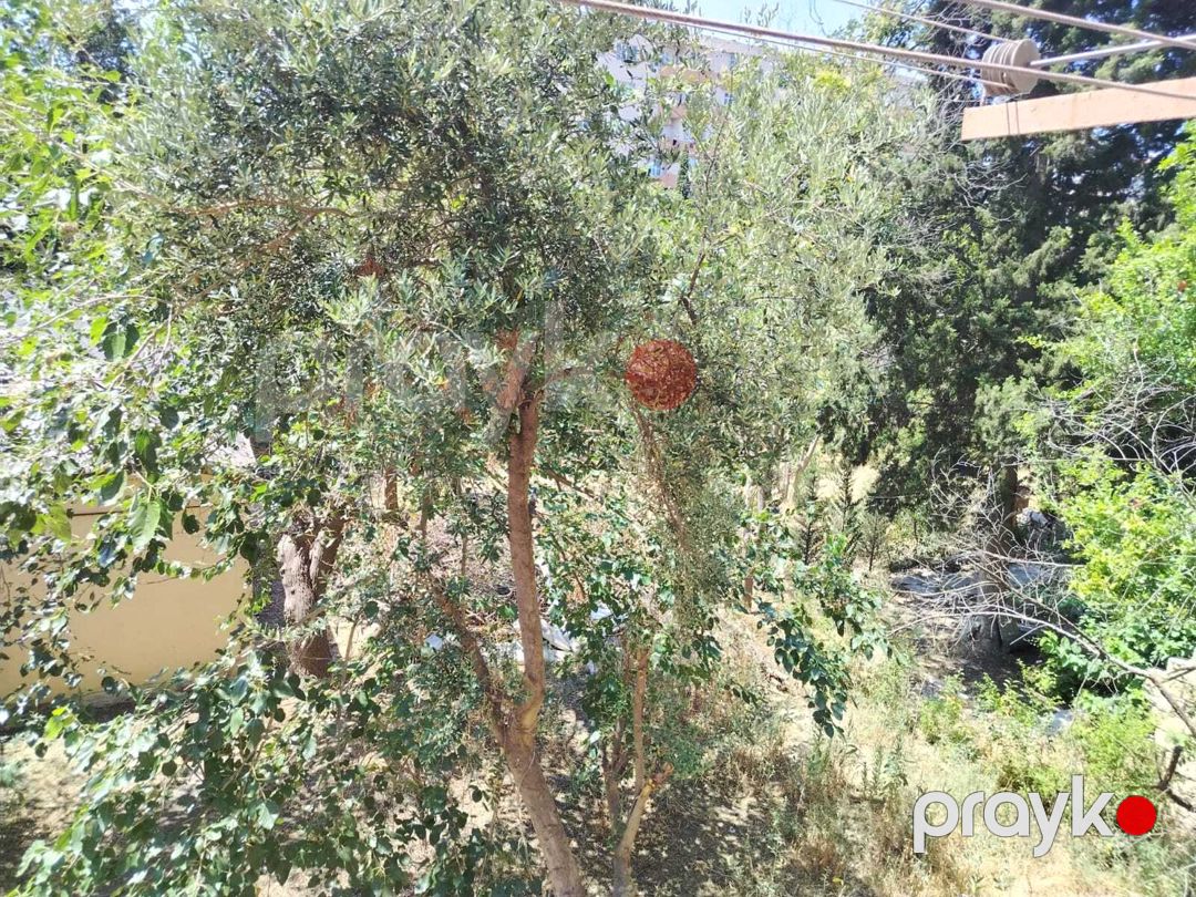 Satılır 3 otaqlı köhnə tikili 80 m² — Mənzil, Bakı (11)