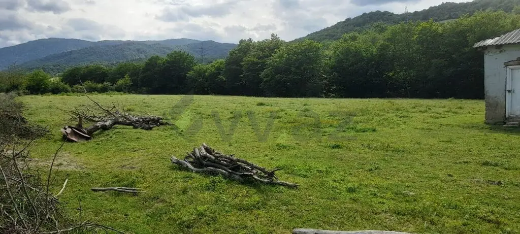11 sot Torpaq Satılır, Quba — Torpaq, Quba (5)