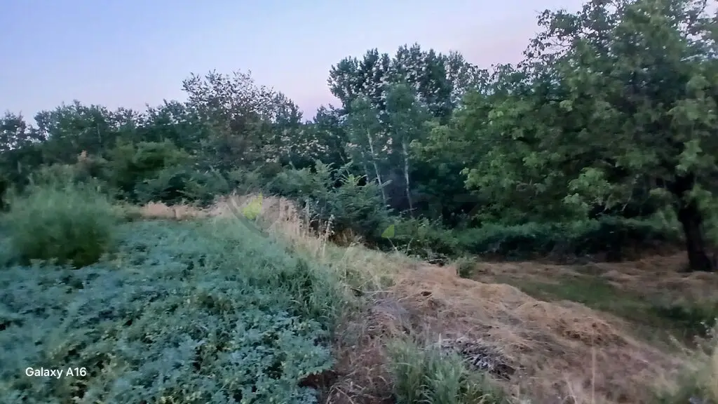 4 otaqlı Həyət evi Satılır, Şamaxı — Ev, villa, Şamaxı (5)