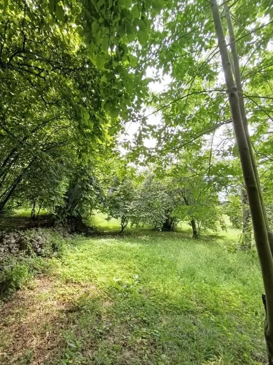 4 otaqlı Həyət evi Satılır, Şəki — Ev, villa, Şəki (11)