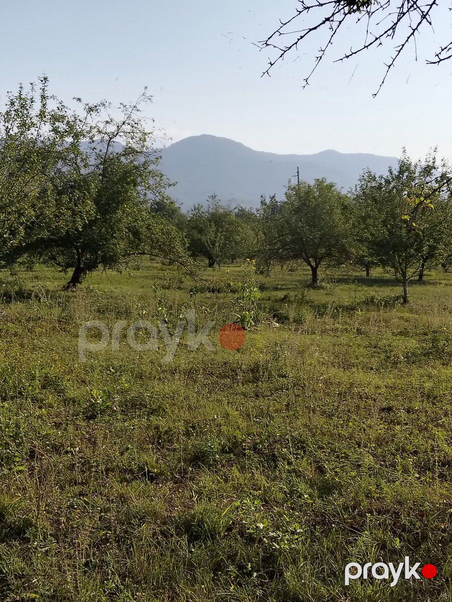 50 sot torpaq sahəsi, Həzrə k — Torpaq, Qəbələ (8)
