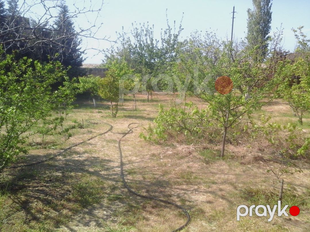 Satılır 3 otaqlı həyət evi/bağ evi 80 m² — Ev, villa, Bakı (5)