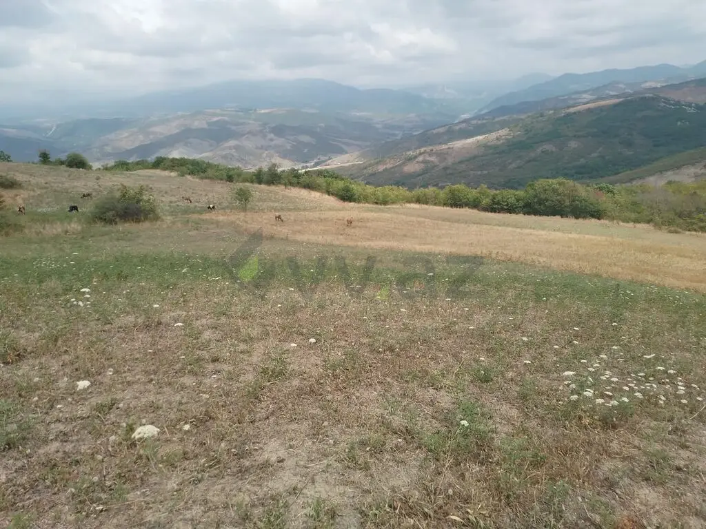 232 sot Torpaq Satılır, Şamaxı — Torpaq, Şamaxı (2)