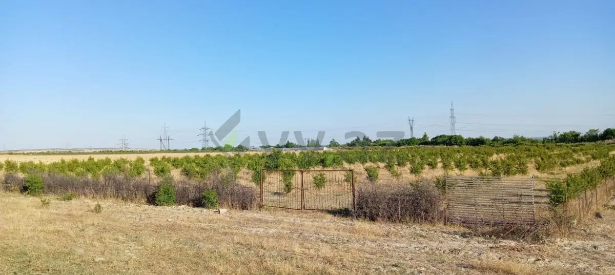 200 sot Torpaq Satılır, Göyçay — Torpaq, Göyçay (4)