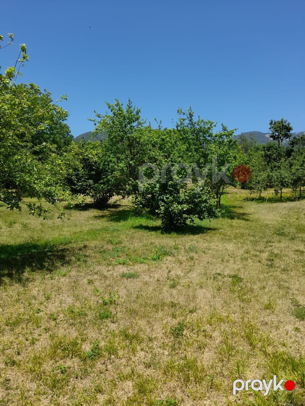 Kənd təsərrüfatı — Torpaq, Bakı (3)