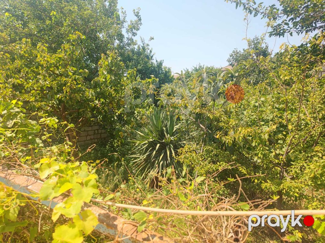 Satılır 4 otaqlı həyət evi/bağ evi 200 m² — Ev, villa, Sumqayıt (7)