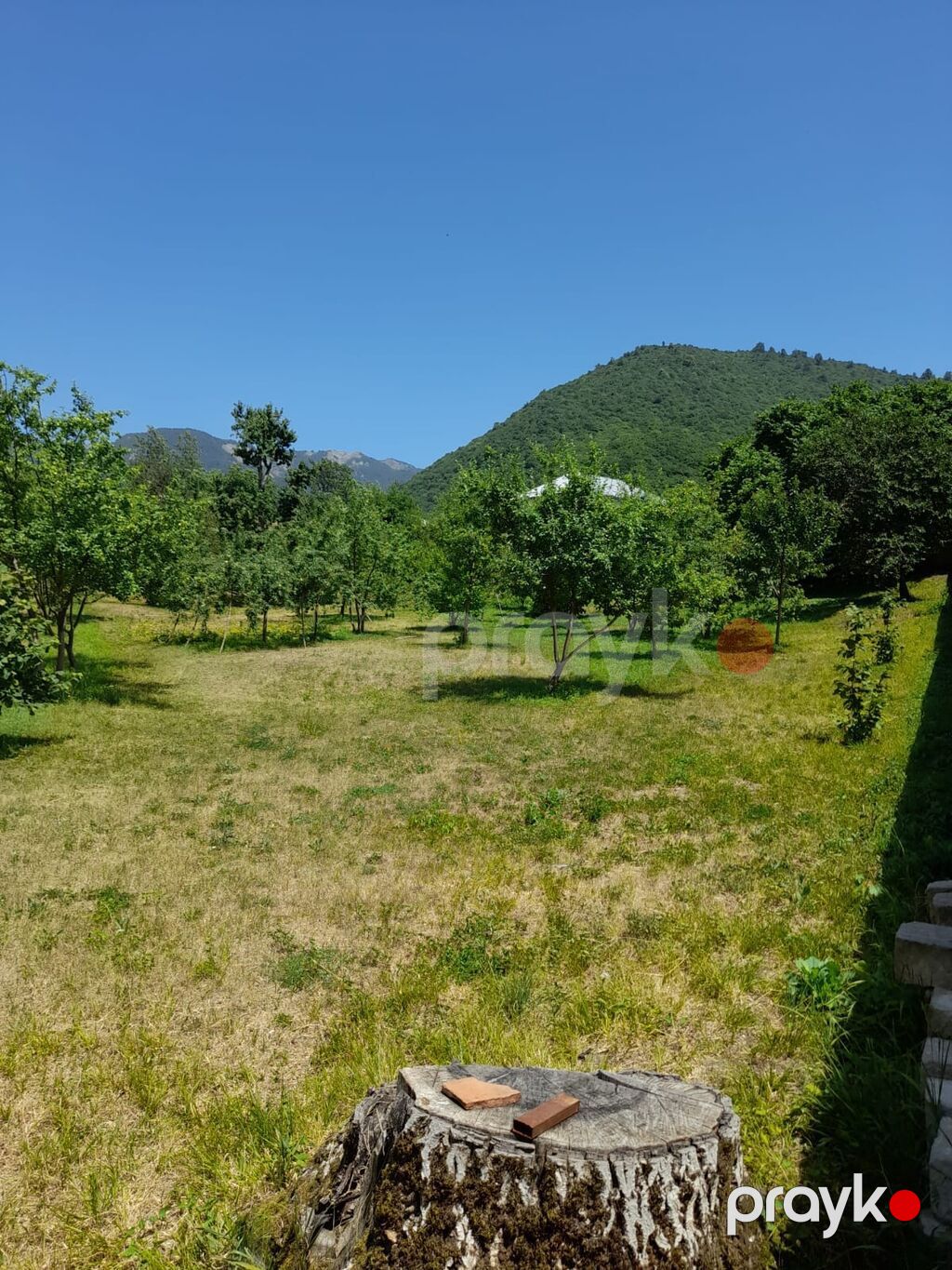 Kənd təsərrüfatı — Torpaq, Bakı (8)