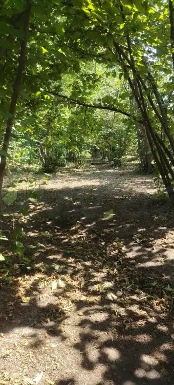 4 otaqlı Yarım tikili Satılır, Xaçmaz — Ev, villa, Xaçmaz (2)