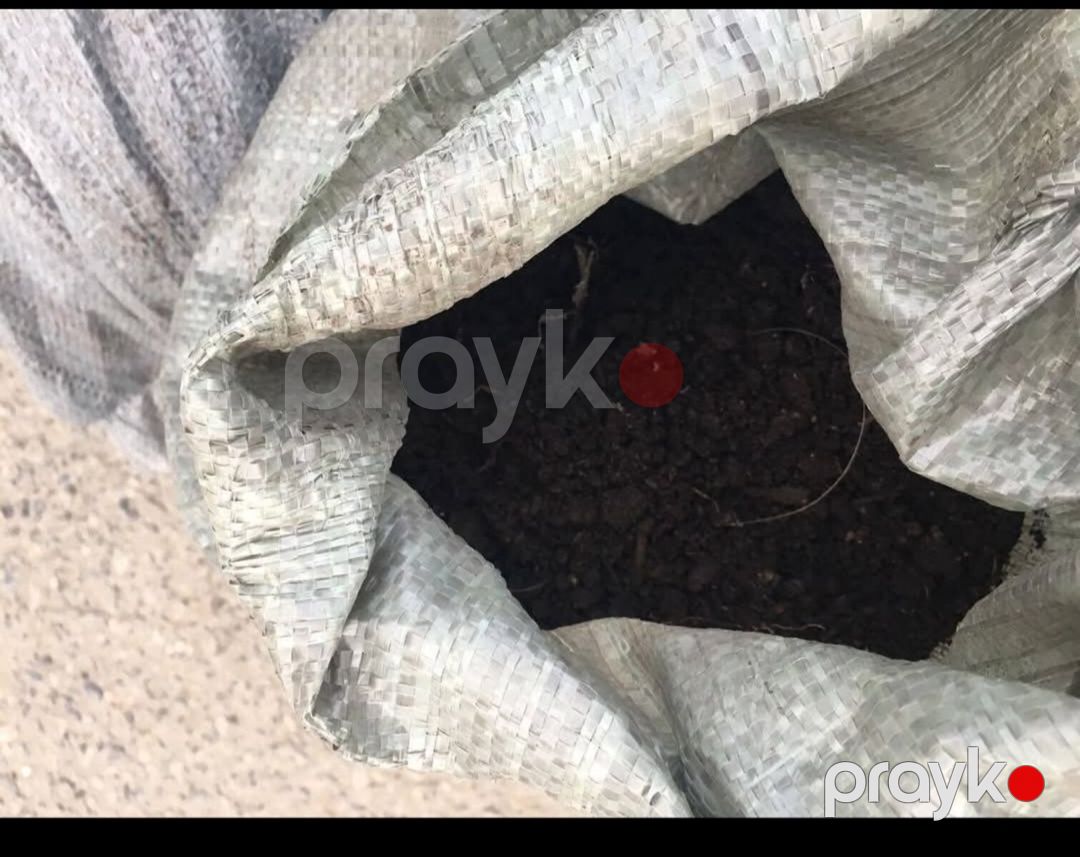 Torf — Dacha və bağ, Bakı (4)
