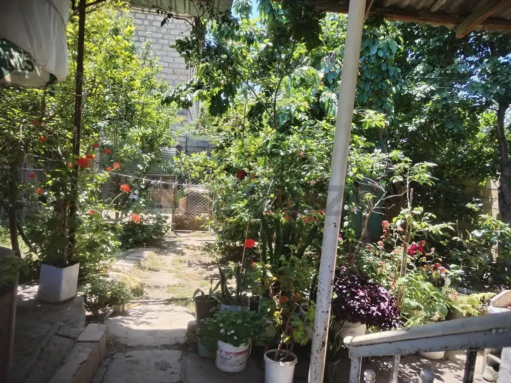 4 otaqlı Həyət evi Satılır, Mingəçevir — Ev, villa, Mingəçevir (8)