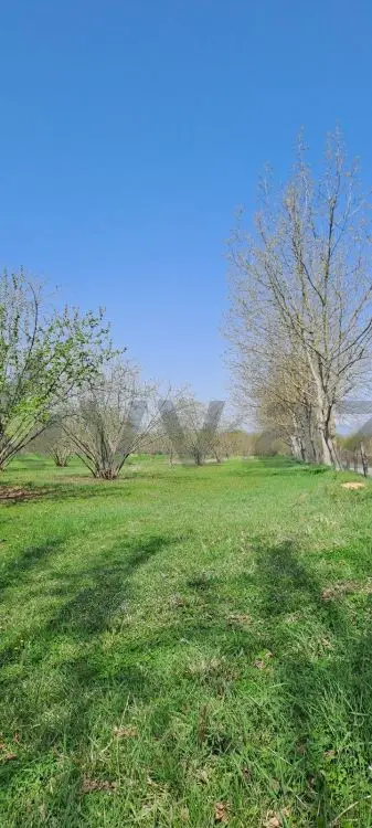 219 sot Torpaq Satılır, Zaqatala — Torpaq, Zaqatala (7)