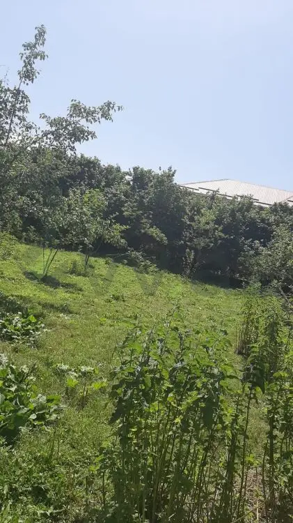 3 otaqlı Həyət evi Satılır, Qusar — Ev, villa, Qusar (5)