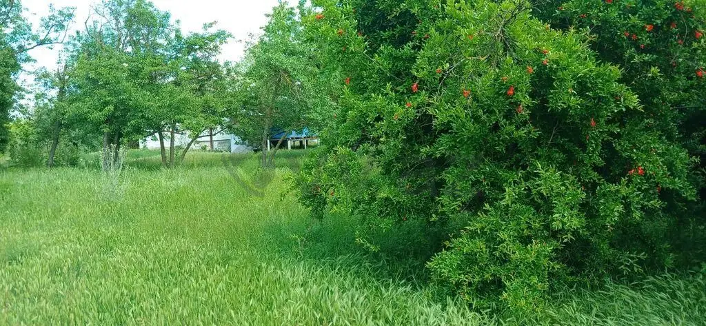 3 otaqlı Həyət evi Satılır, Ucar — Ev, villa, Ucar (4)