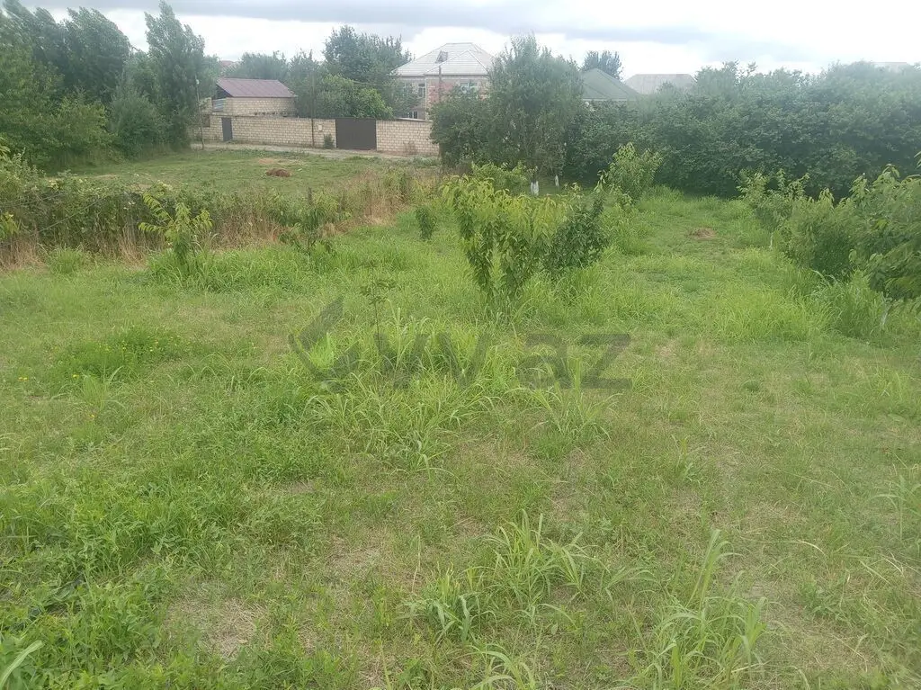 10 sot Torpaq Satılır, Quba — Torpaq, Quba (4)