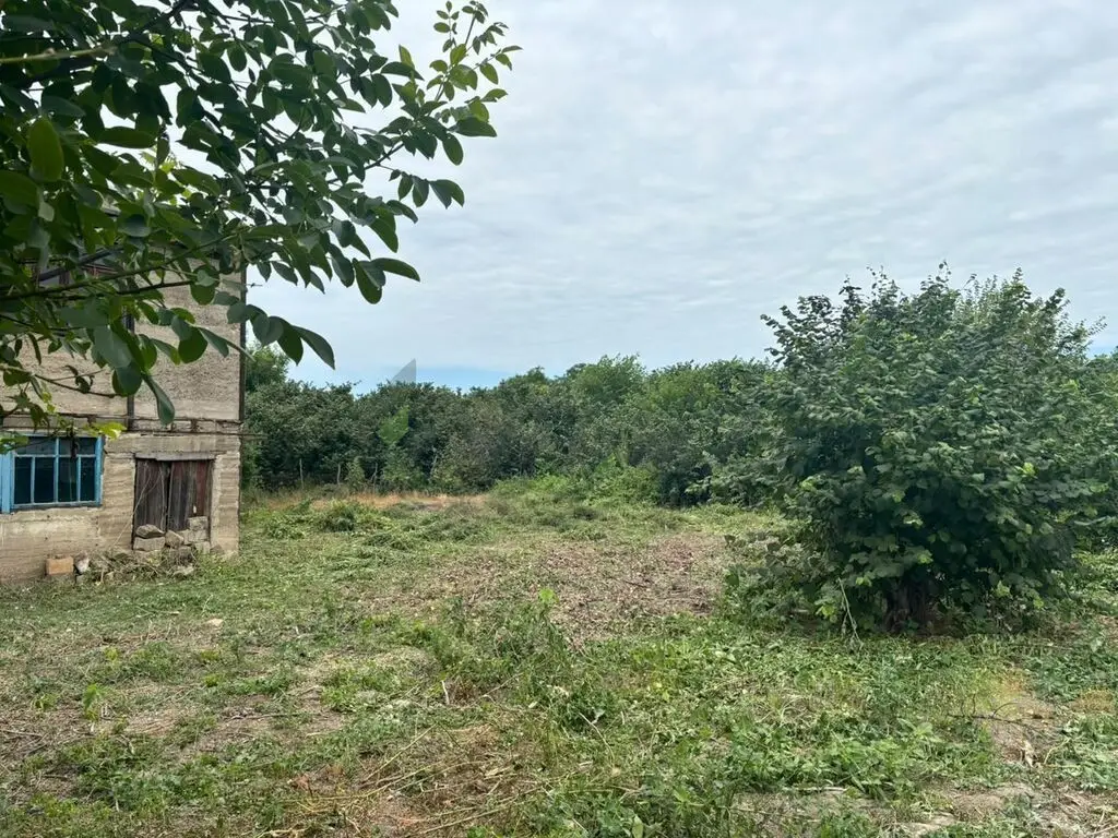 24 sot Torpaq Satılır, Xaçmaz — Torpaq, Xaçmaz (2)