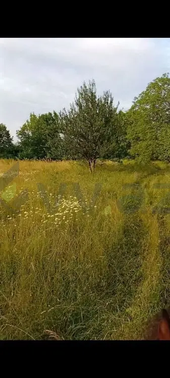 136 sot Torpaq Satılır, Quba — Torpaq, Quba (3)