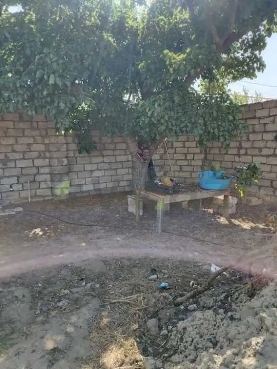 25 sot Torpaq Satılır, Nardaran qəs., Sabunçu, Bakı — Torpaq, Bakı (3)