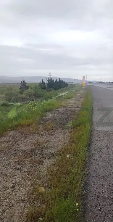 337 sot Torpaq Satılır, Ələt qəs., Qaradağ, Bakı — Bakı