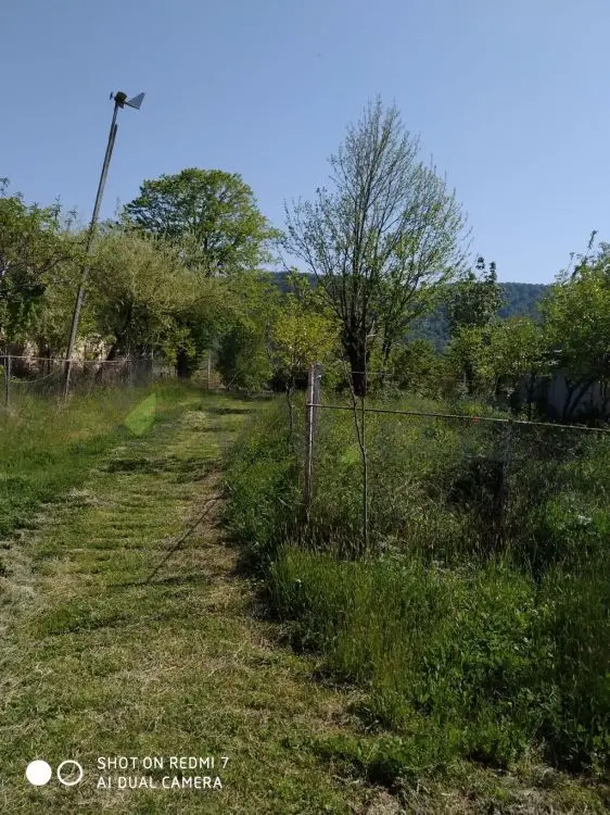 18 sot Torpaq Satılır, Balakən — Torpaq, Balakən (3)