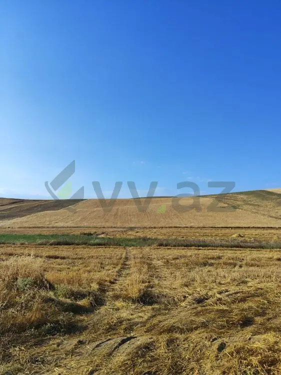 1500 sot Torpaq Satılır, Qobustan — Torpaq, Qobustan (2)