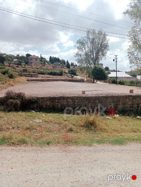11 sot, Mülkiyyətçi, Kupça (Çıxarış) — Şamaxı