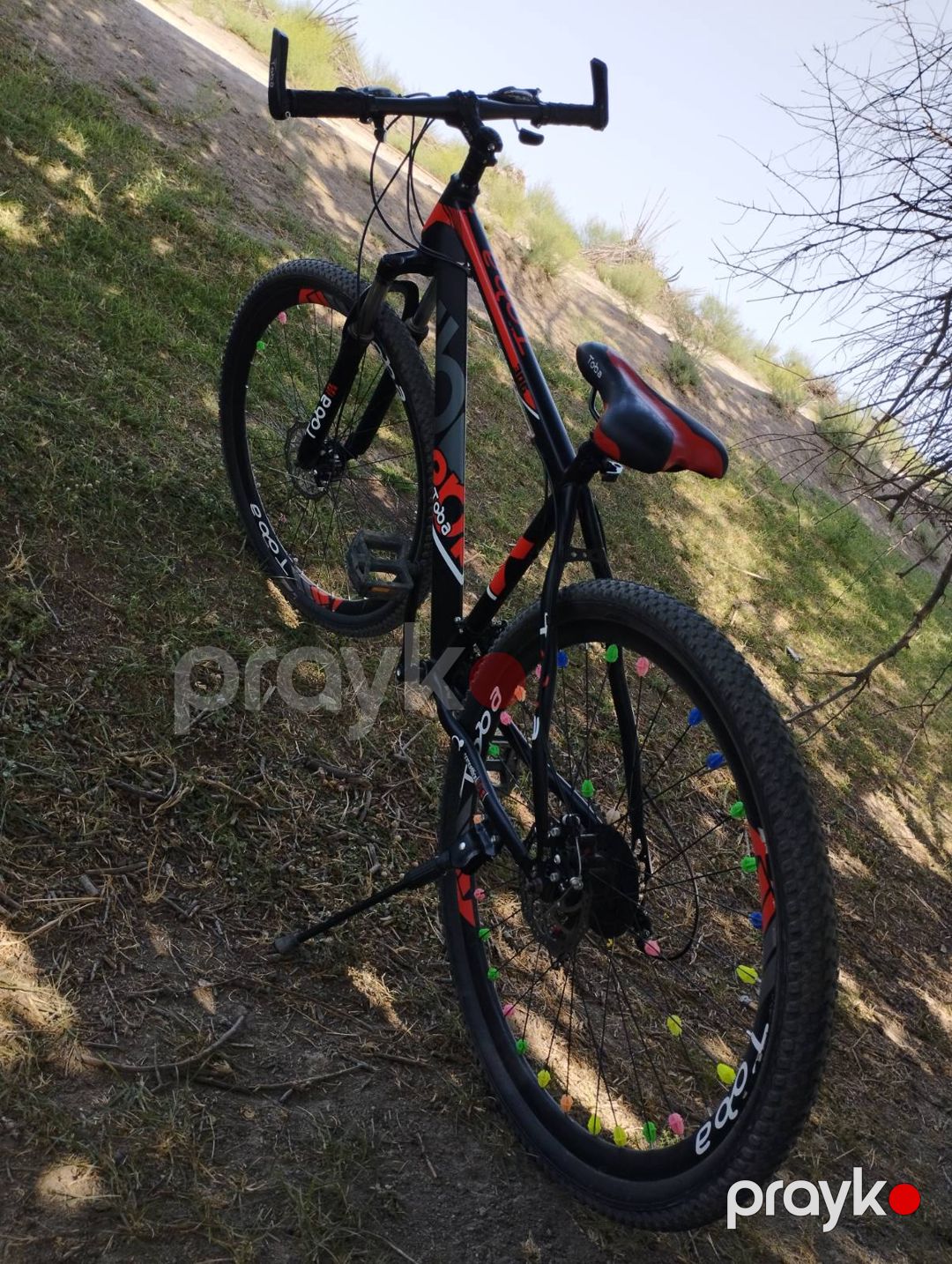994/504365257 — Uşaqlar üçün hər şey, Salyan (2)