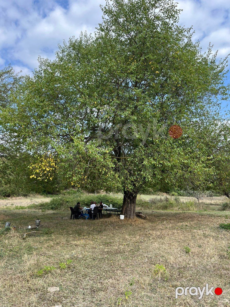 1050 sot torpaq sahəsi, Şamaxı r — Torpaq, Şamaxı (8)