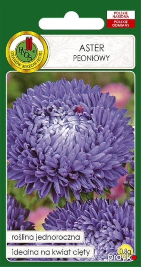 Gül toxumları Pnos Aster Peoniowy Bənövşəyi 0.8 q — Bakı