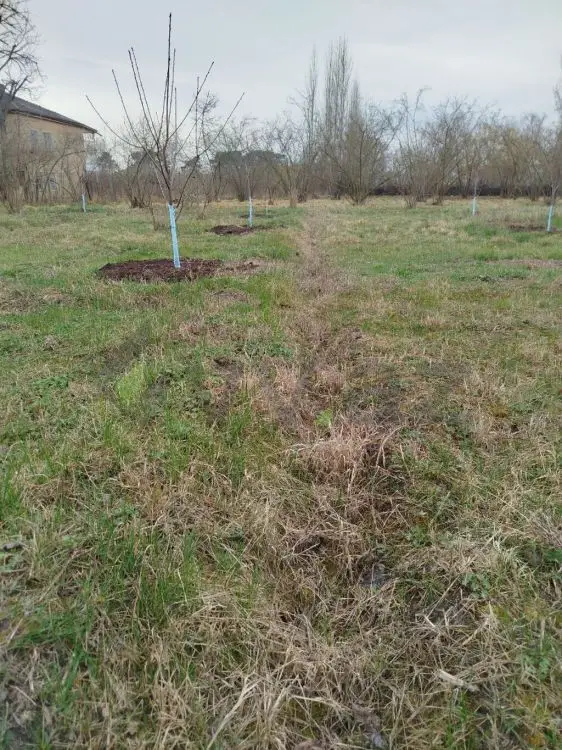 10 sot Torpaq Satılır, Xaçmaz — Torpaq, Xaçmaz (4)