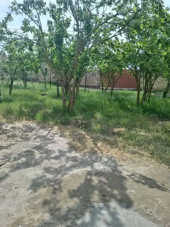 4 otaqlı Həyət evi Satılır, Masallı — Ev, villa, Masallı (2)