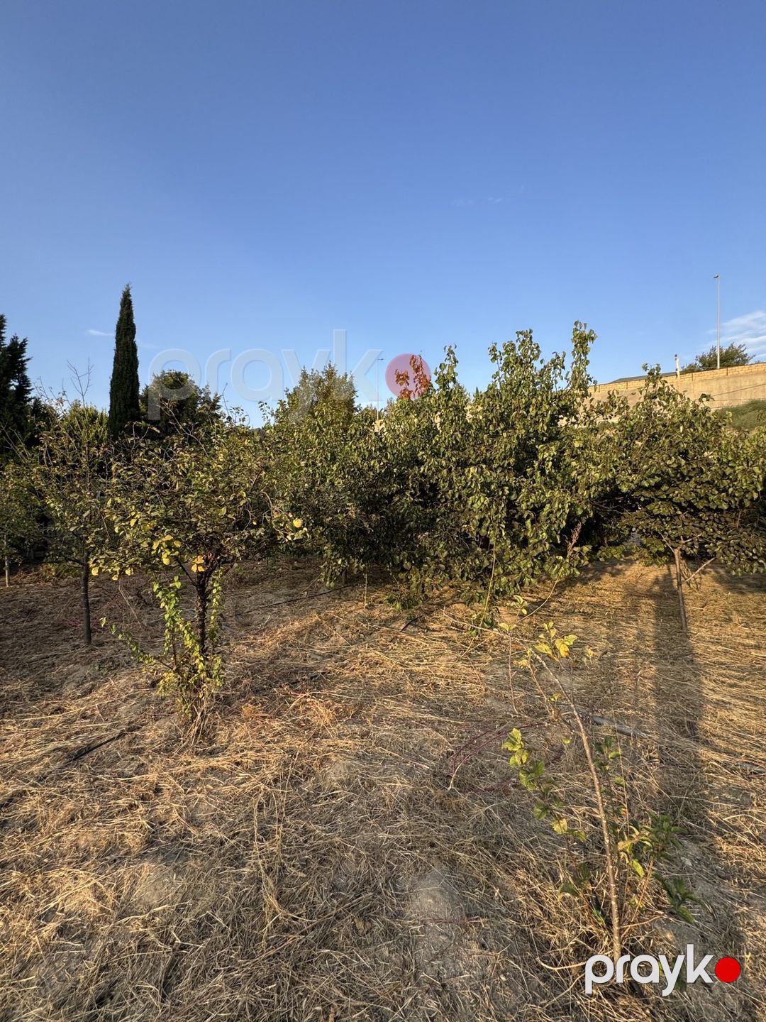 Satılır torpaq 2 sot — Torpaq, Bakı (4)