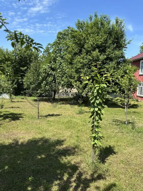 2 otaqlı Həyət evi Kirayə (günlük), Qəbələ — Ev, villa, Qəbələ (10)