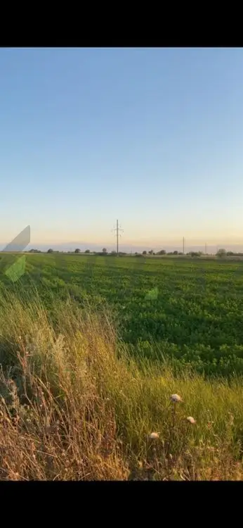 400 sot Torpaq Satılır, Ağcabədi — Torpaq, Ağcabədi (3)