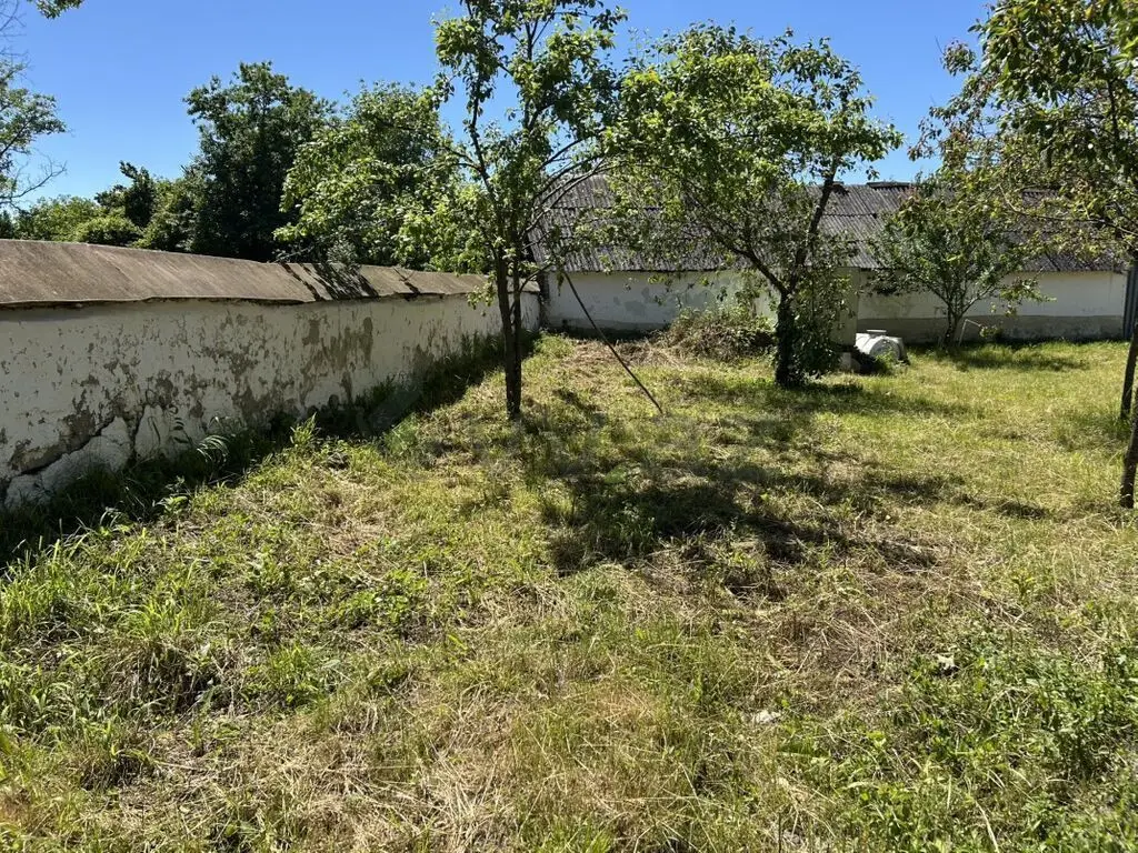 15 sot Torpaq Satılır, Qəbələ — Torpaq, Qəbələ (5)