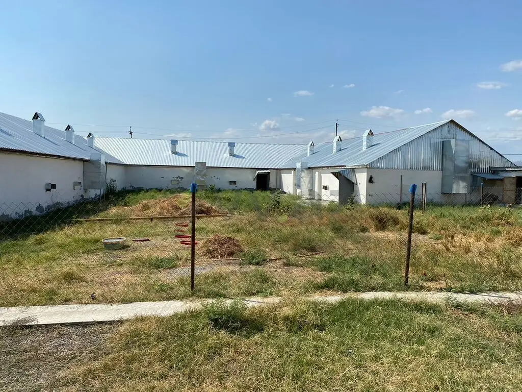 80 sot Torpaq Satılır, Ağsu — Torpaq, Ağsu (11)