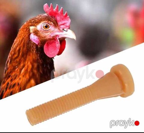 Toyuq yolan aparat rezinləri — Bakı