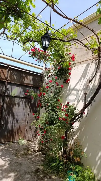 4 otaqlı Həyət evi Satılır, Əmircan qəs., Suraxanı, Bakı — Ev, villa, Bakı (10)
