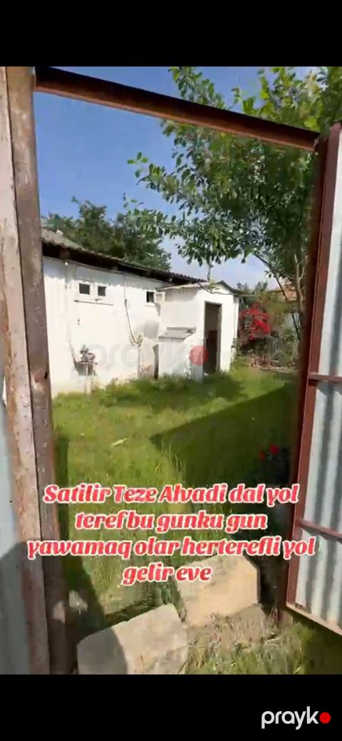 Masallı r., Təzə Alvadı kəndində satılıq həyət evi / torpaq sahəsi