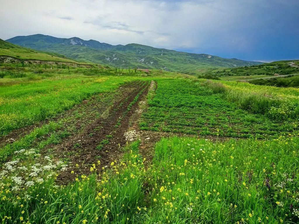 151 sot Torpaq Satılır, Şamaxı — Torpaq, Şamaxı (5)