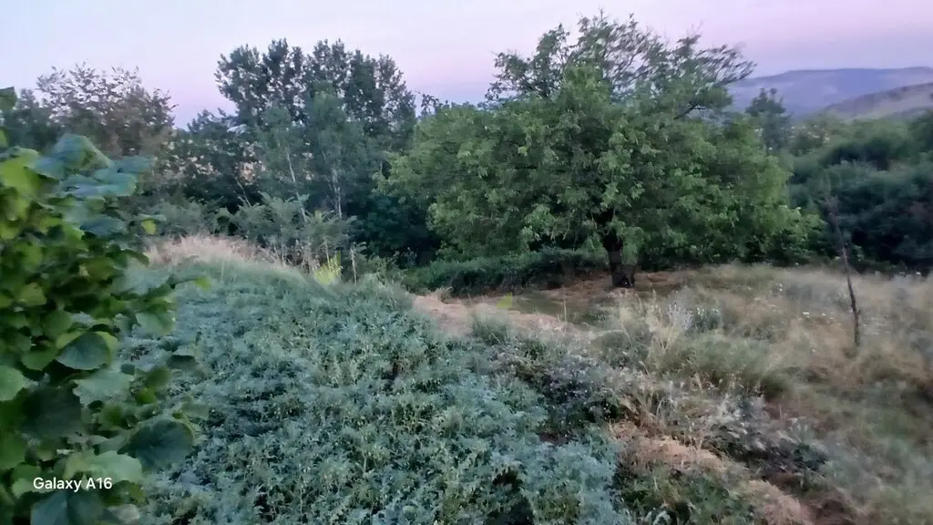 4 otaqlı Həyət evi Satılır, Şamaxı — Ev, villa, Şamaxı (4)