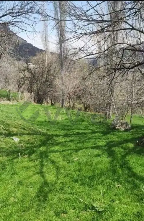 32 sot Torpaq Satılır, Tovuz — Tovuz